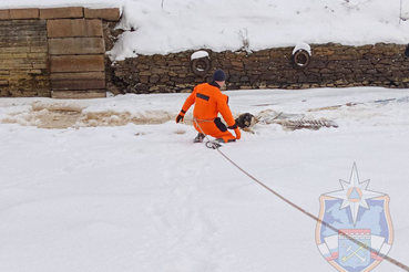 Спасатели оказали помощь собаке