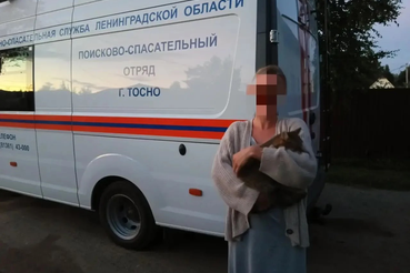 Помощь животным
