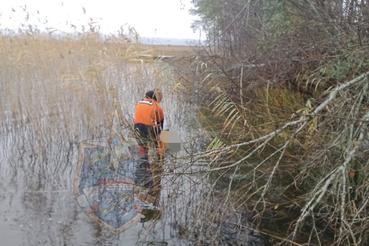 Спасатели провели работы в Приозерском районе