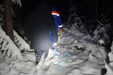 Спасатели вывели мужчину из леса в Кировском районе