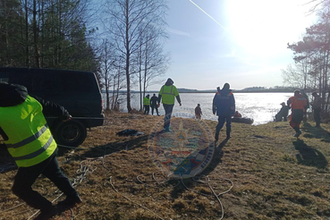 Поиски в Лужском районе