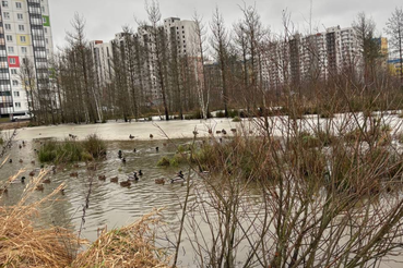 Сотрудники химико-радиометрической лаборатории провели замеры АХОВ