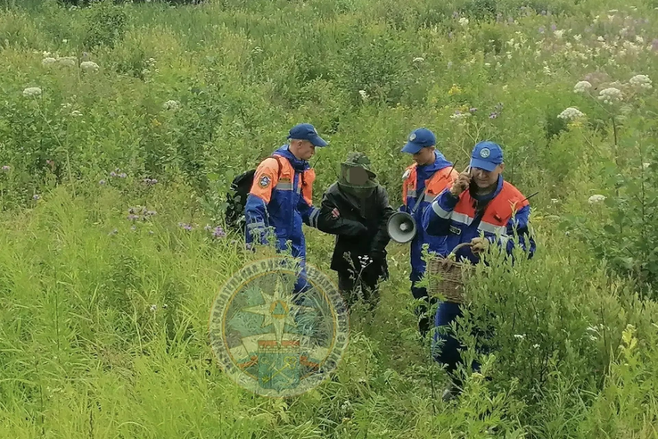 Спасатели вывели пожилого человека из леса