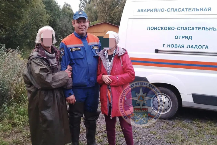 Поисковые работы в лесном массиве Волховского района