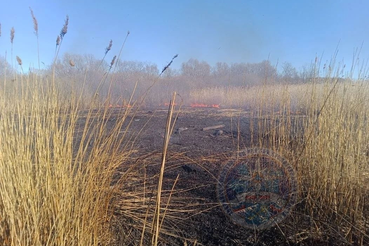 Спасатели оказали помощь пожарным