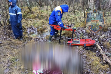 Спасатели провели работы в Тосненском районе