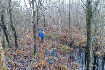 Поиски в Киришском районе