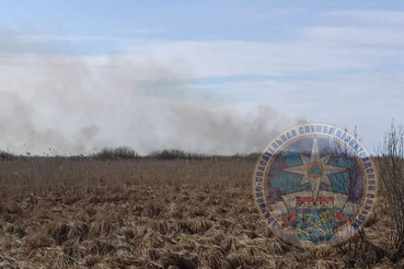 Спасатели оказали помощь пожарным
