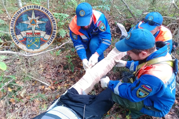В Тосненском районе спасатели эвакуировали мужчину со сломанной ногой