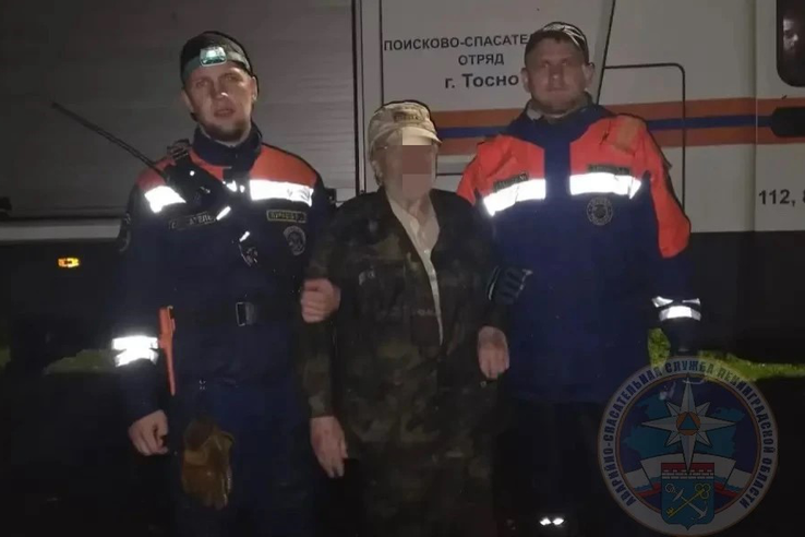 Поиски в Тосненском районе
