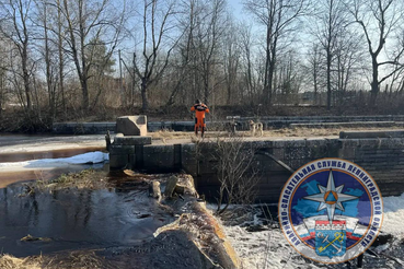 Спасатели оказали помощь собаке в Волховском районе